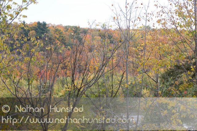 Saint_Croix_River_2008-10-11_IMG_2311